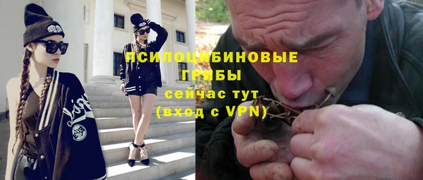 гидра Абаза