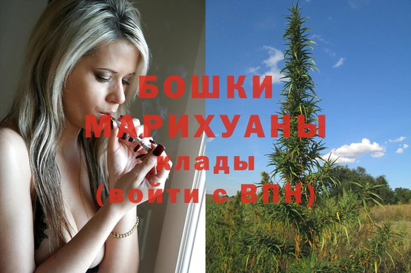 МДПВ Нея