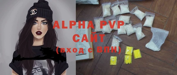 гидра Абаза