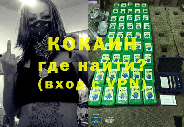 гидра Абаза