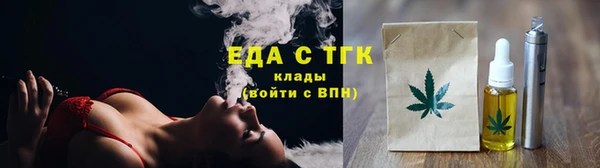 гидра Абаза