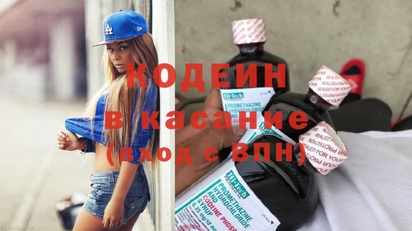 гидра Абаза