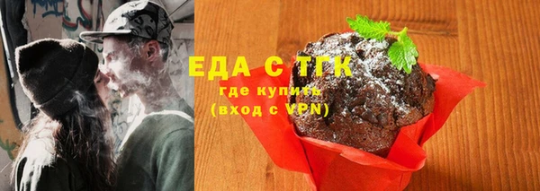 гидра Абаза