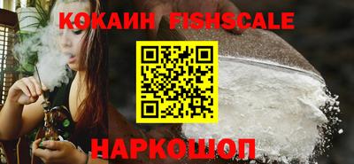 гашик Гатчина