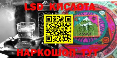 гашик Гатчина