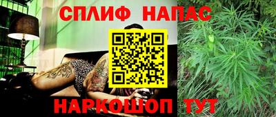 спиды Гагарин