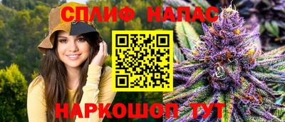 гашик Гатчина