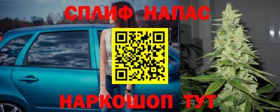 шишки Гай
