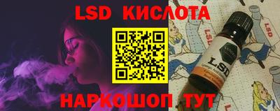 гашик Гатчина