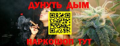 шишки Гай