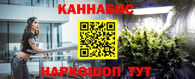 гашик Гатчина