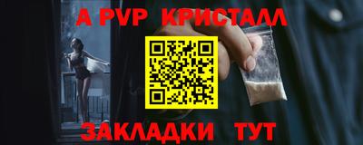 шишки Гай
