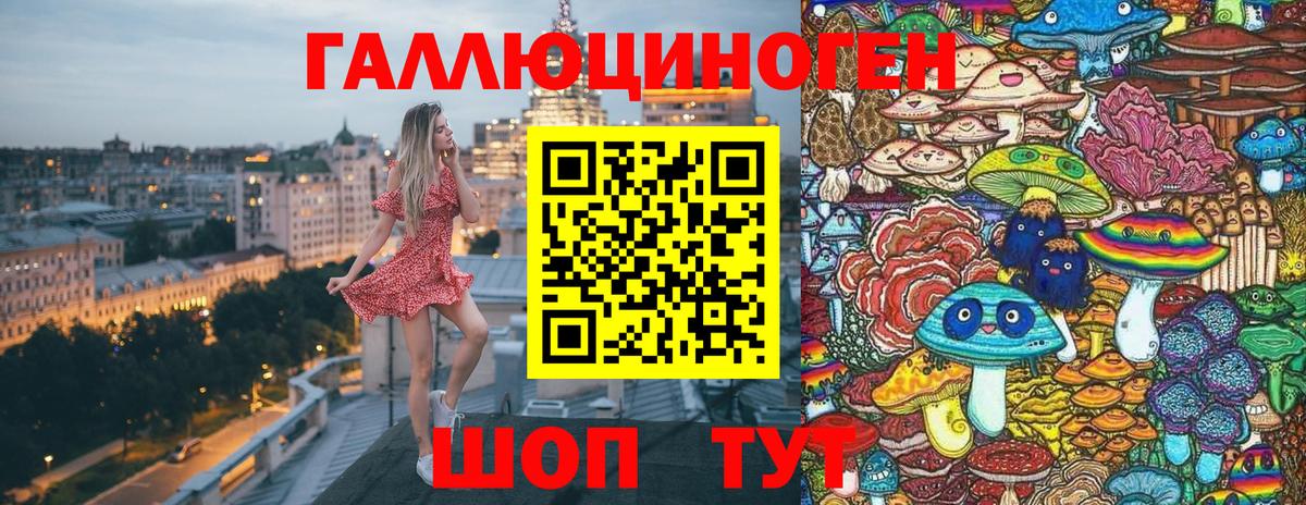 Псилоцибиновые грибы Psilocybine cubensis Оренбург